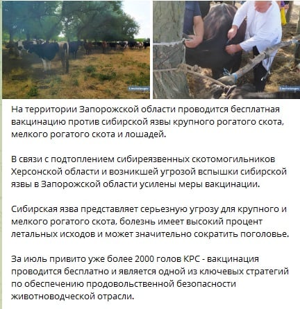 
На Мелитопольщине в срочном порядке прививают скот - руZZкий мир принес в регион опасную болезнь - Новости Мелитополя. РІА-Південь
