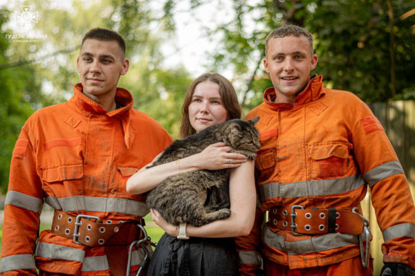 Бойцы ГСЧС после российского удара в Сумах спасли 15-летнего кота - Общество