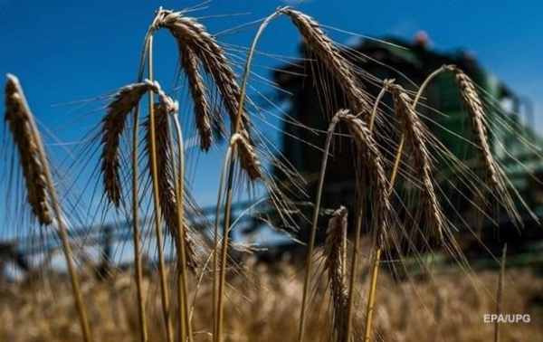 В Украине собрали 2,1 млн тонн зерна нового урожая