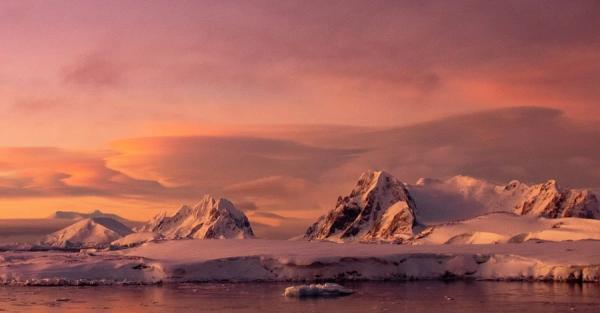 Украинские полярники показали удивительные фото Антарктиды в розовых цветах - Общество
