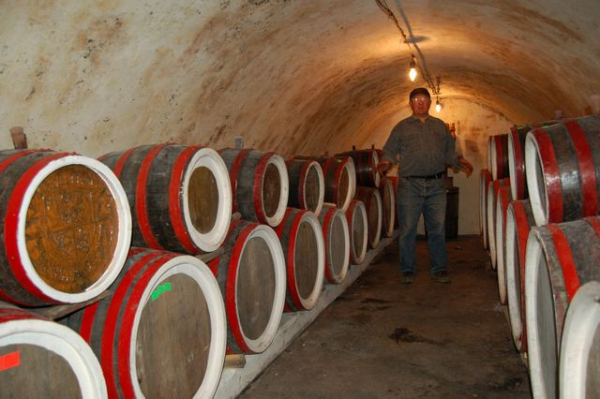 Винодел из Закарпатья: Благородная плесень поможет мне сделать лучшее вино в мире - Общество