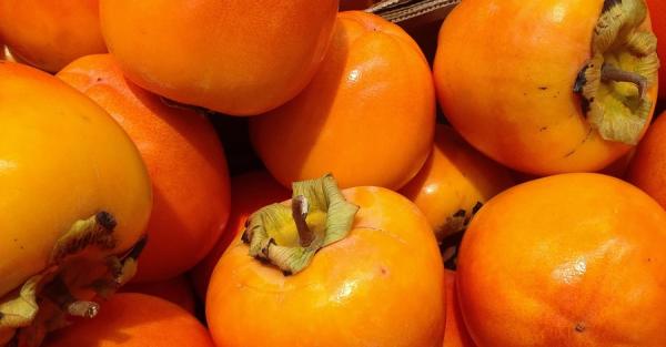 Китайский персик из Украины: наша хурма сладкая как испанская и не боится морозов - Общество