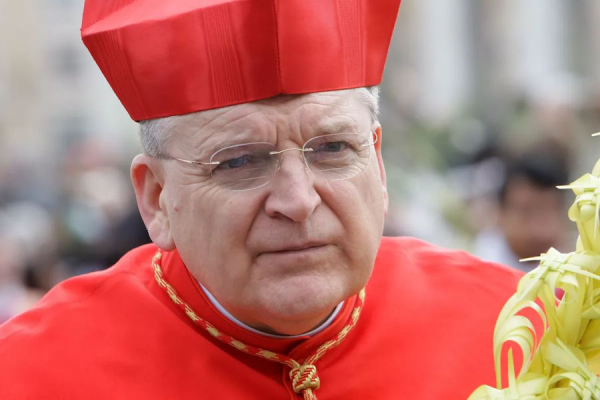 Папа наносит удар по консерватизму: Рэймонд Бёрк в опале