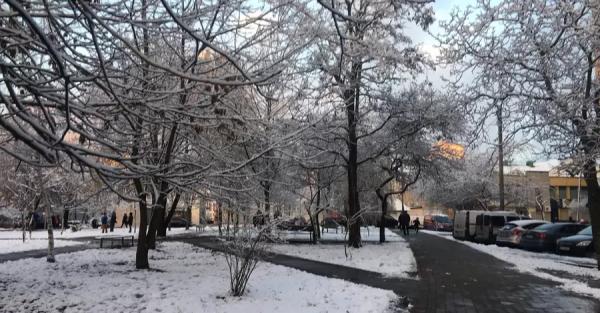 С 11 декабря в Украине прогнозируют оттепель, а в выходные еще будет держаться мороз - Общество
