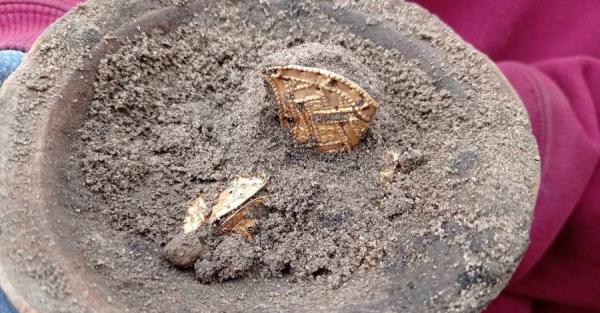 В Киевской области археологи нашли уникальные золотые украшения времен Гетманщины - Общество