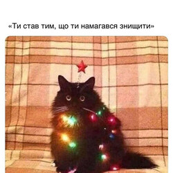 Рождественские анекдоты и мемы: боевые коты, мыши-оккупанты и пес Патрон - Общество