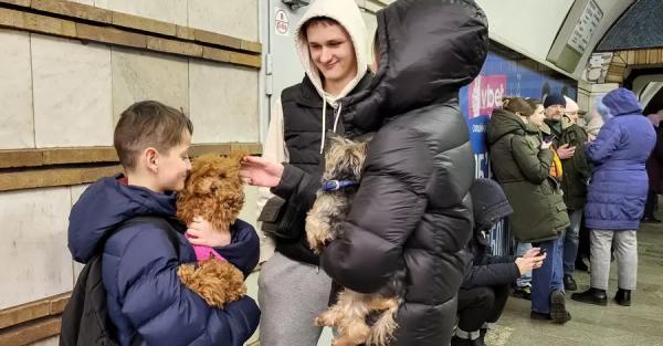 В киевском метро рассматривают возможность перевозки животных - Общество