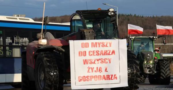 Польские фермеры объявили всеобщую забастовку - Общество