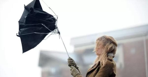 Киевлян предупредили о сильном ветре 3 февраля и призвали плотно закрыть окна - Общество
