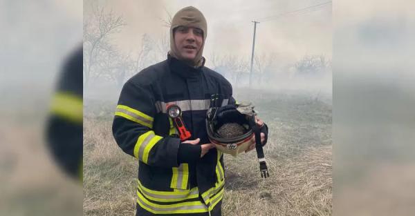 Спасатели помогли ежику, который убегал от пожара на открытой местности  - Общество