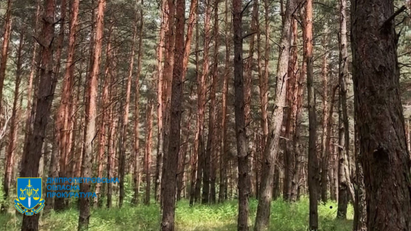 На Дніпропетровщині державі повернуто землі лісового фонду вартістю 86 млн грн, - прокуратура | новини Дніпра