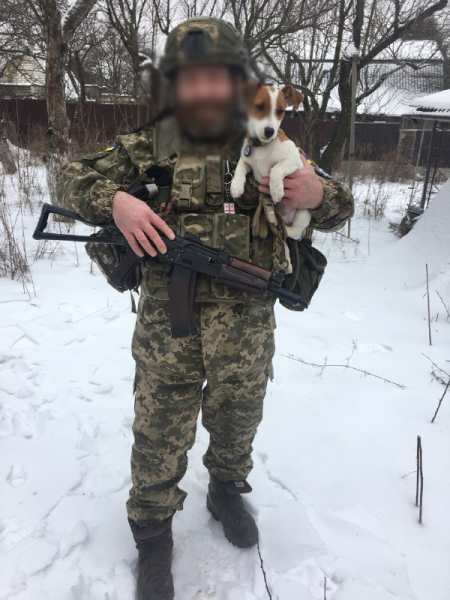 С обстреливаемой Харьковщины – во Львов. Как мы эвакуировали собаку военного - Общество