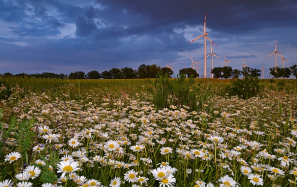 Германия установила рекорд по производству "зеленой" электроэнергии