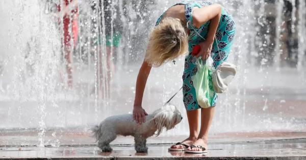Аномальная жара в Киеве может продолжаться до 17 июля: как ее пережить - Общество