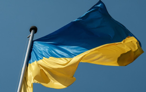 За шесть месяцев открытие ФЛПов в Украине выросло на 11%