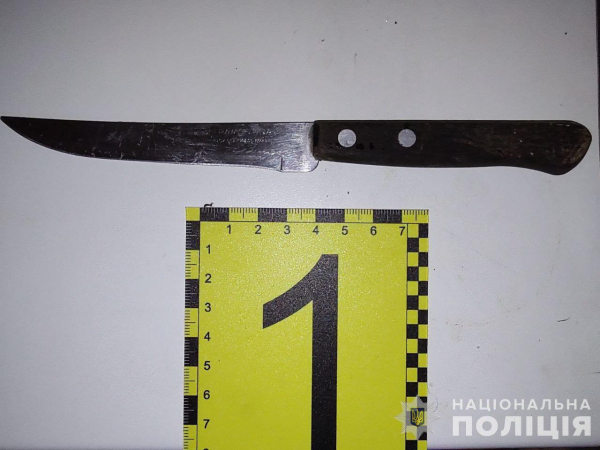 Вдарила ножем знайомого та втекла - у Дніпрі поліцейські знайшли та затримали жінку  | новини Дніпра