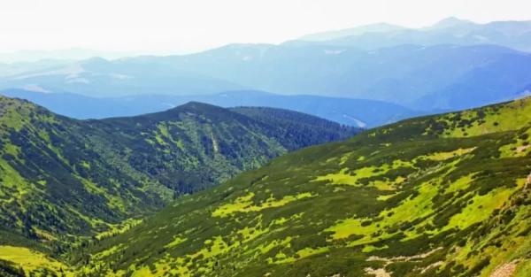 Гид по Карпатам: Запрет ходить на Черногору добьет туризм в горах окончательно - Общество