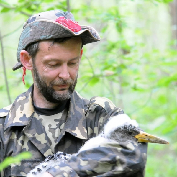 Эколог об исчезновении воробьев в Украине: Без этих птиц вредители уничтожат парки и сады - Общество