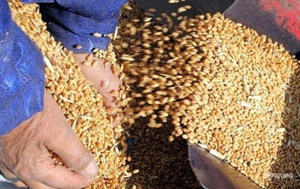 Украина собрала около 74 млн тонн нового урожая