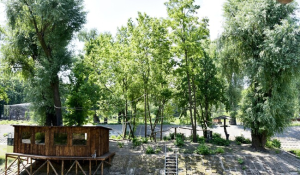 Кошачьи лемуры Киевского зоопарка вернулись в свой летний домик - Общество