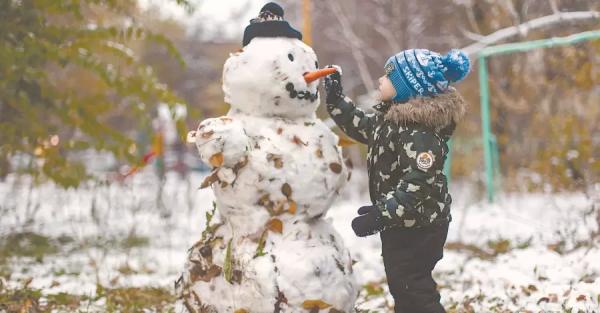 Температурные качели декабря: от рекордной влажности до хрестоматийной зимы - Общество