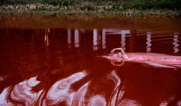 В Литве воду в пруде напротив посольства России окрасили в "кровавый цвет" - Общество