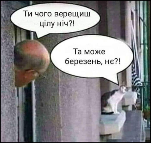 Анекдоты и мемы недели: сейчас весеннее обострение начнется, вообще заживем! - Общество