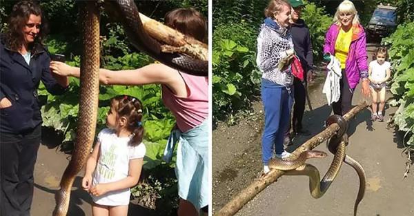 Анаконда или гигантский полоз: Туристы на Раховщине встретили гигантскую змею - Общество